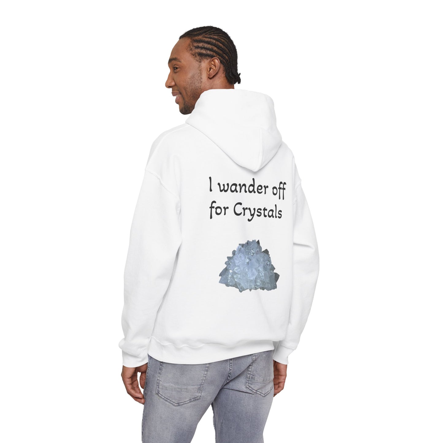 Savanna's  "Sparkle Alert: I wander off for Crystals" Adult Sweatshirt - Hooded