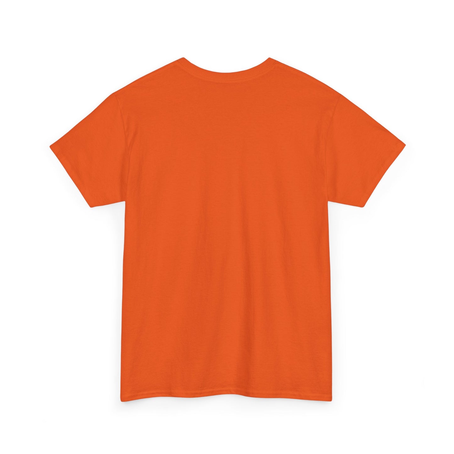 Be Kind Adult Shirt
