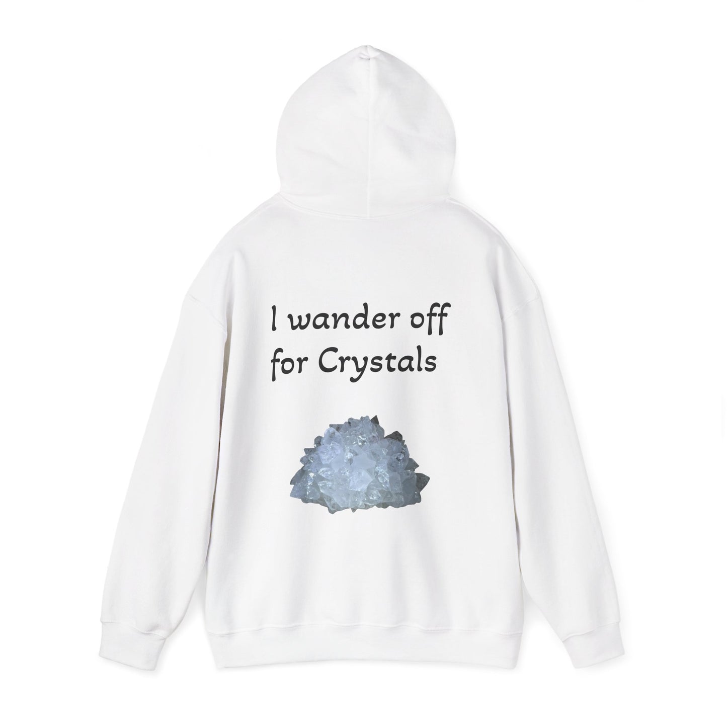 Savanna's  "Sparkle Alert: I wander off for Crystals" Adult Sweatshirt - Hooded