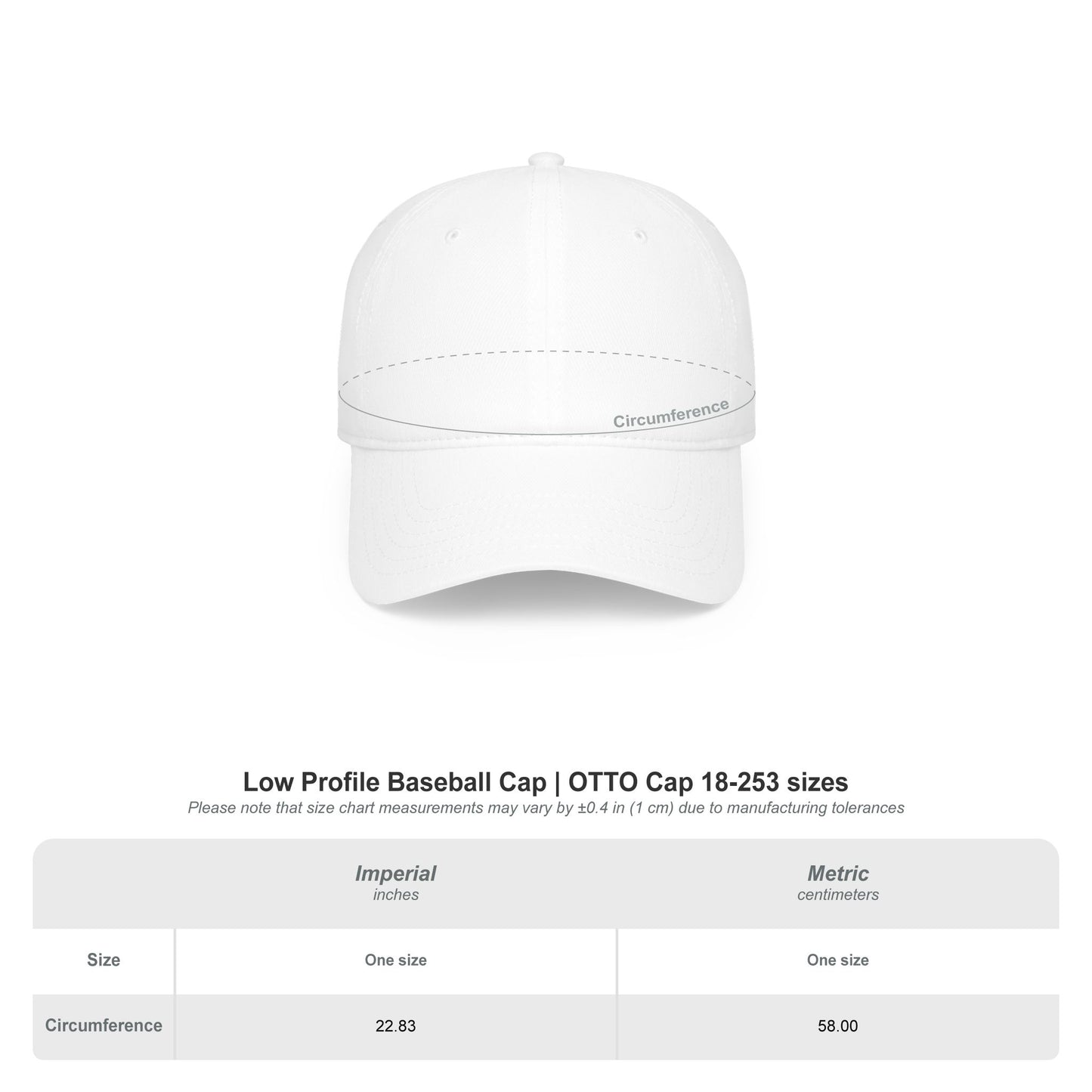 Skater Vibes Low Profile Baseball Cap