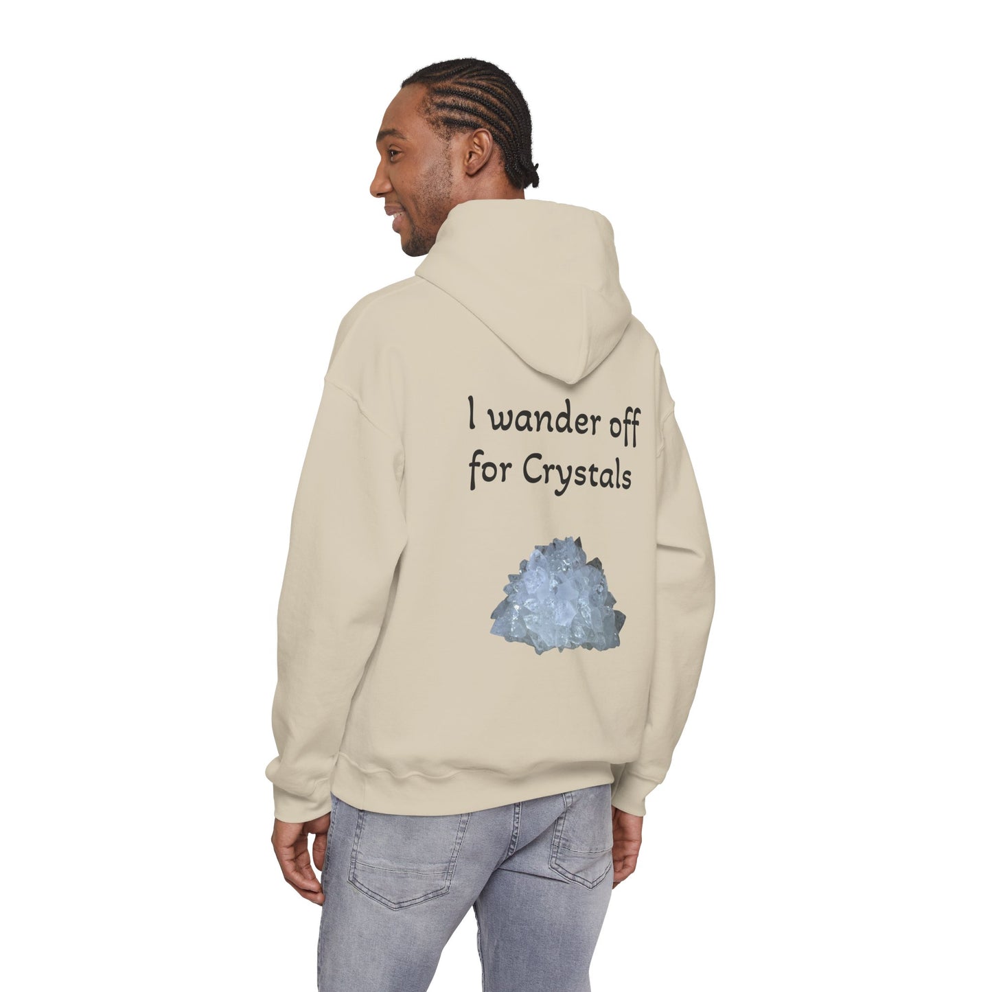 Savanna's  "Sparkle Alert: I wander off for Crystals" Adult Sweatshirt - Hooded