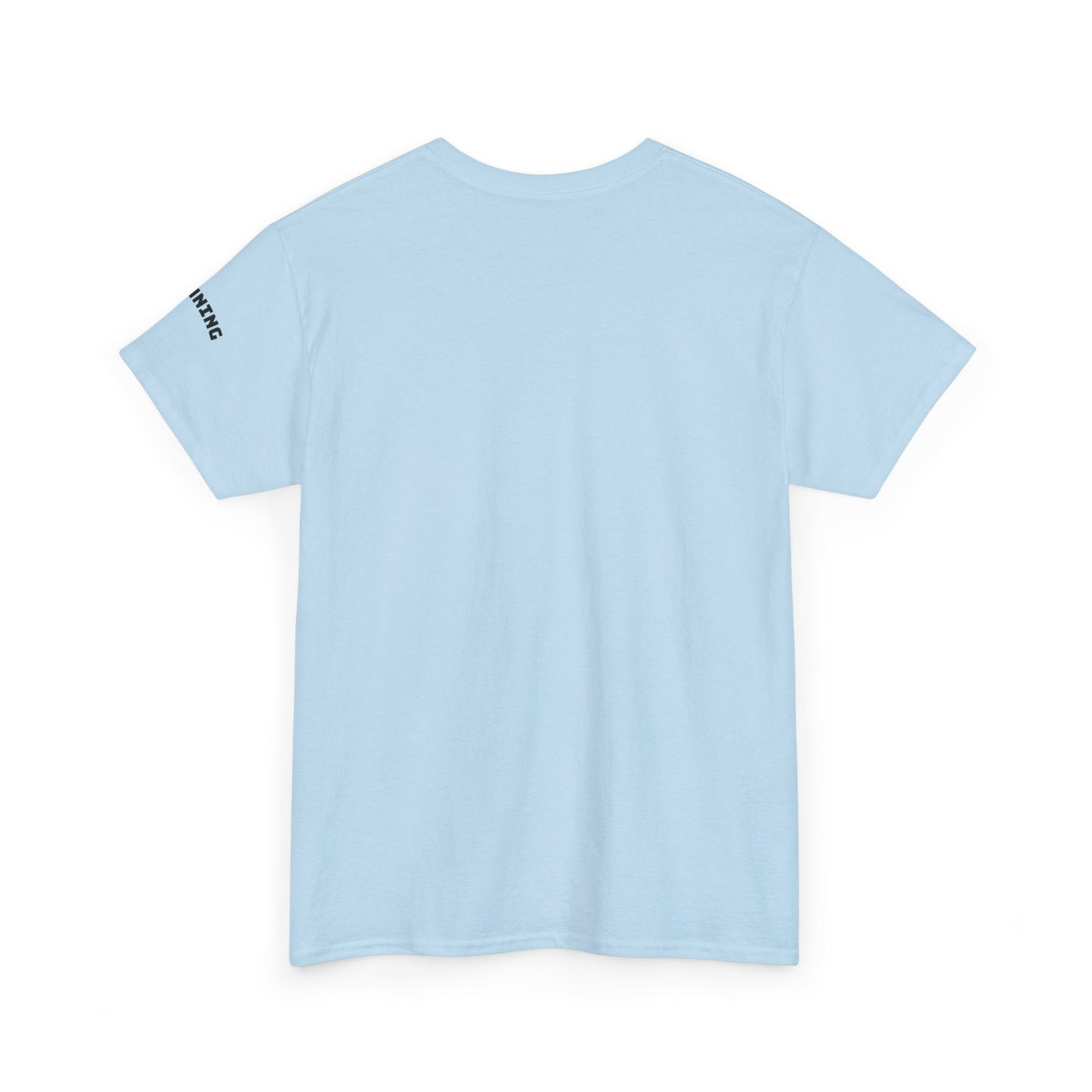 Stunning Adult Shirt
