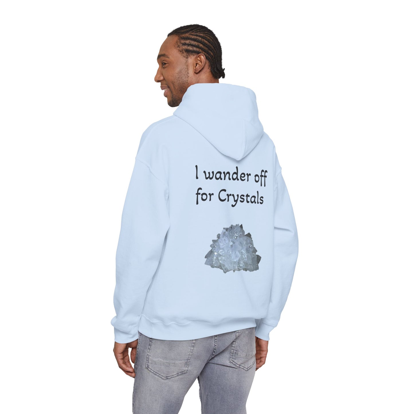 Savanna's  "Sparkle Alert: I wander off for Crystals" Adult Sweatshirt - Hooded
