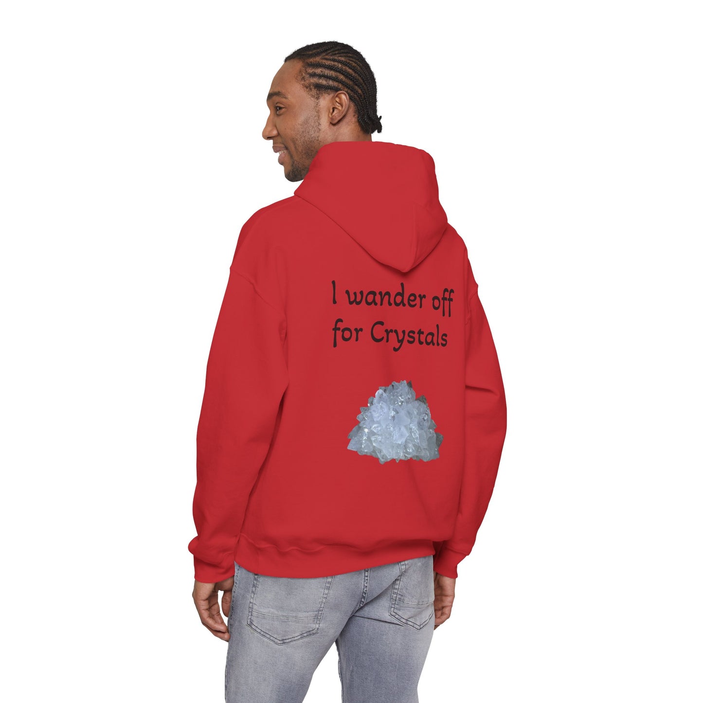 Savanna's  "Sparkle Alert: I wander off for Crystals" Adult Sweatshirt - Hooded