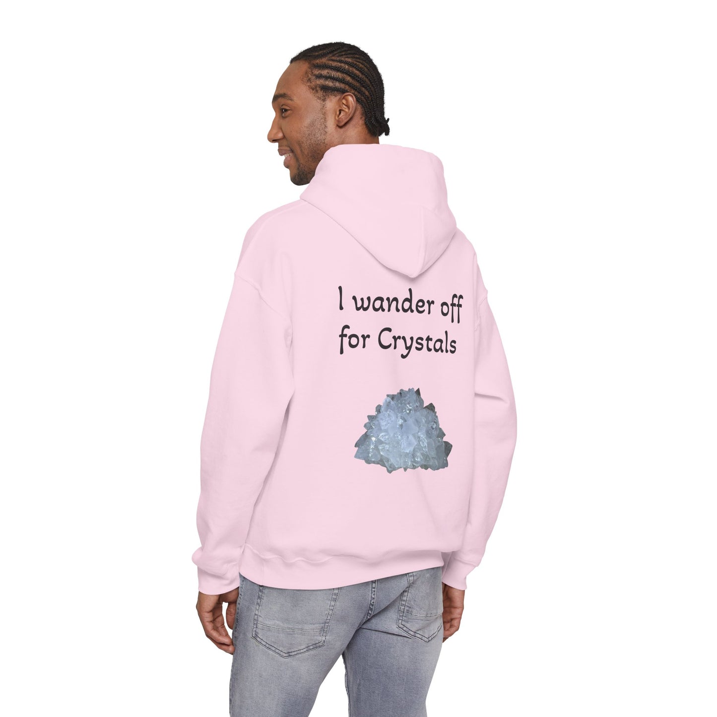 Savanna's  "Sparkle Alert: I wander off for Crystals" Adult Sweatshirt - Hooded