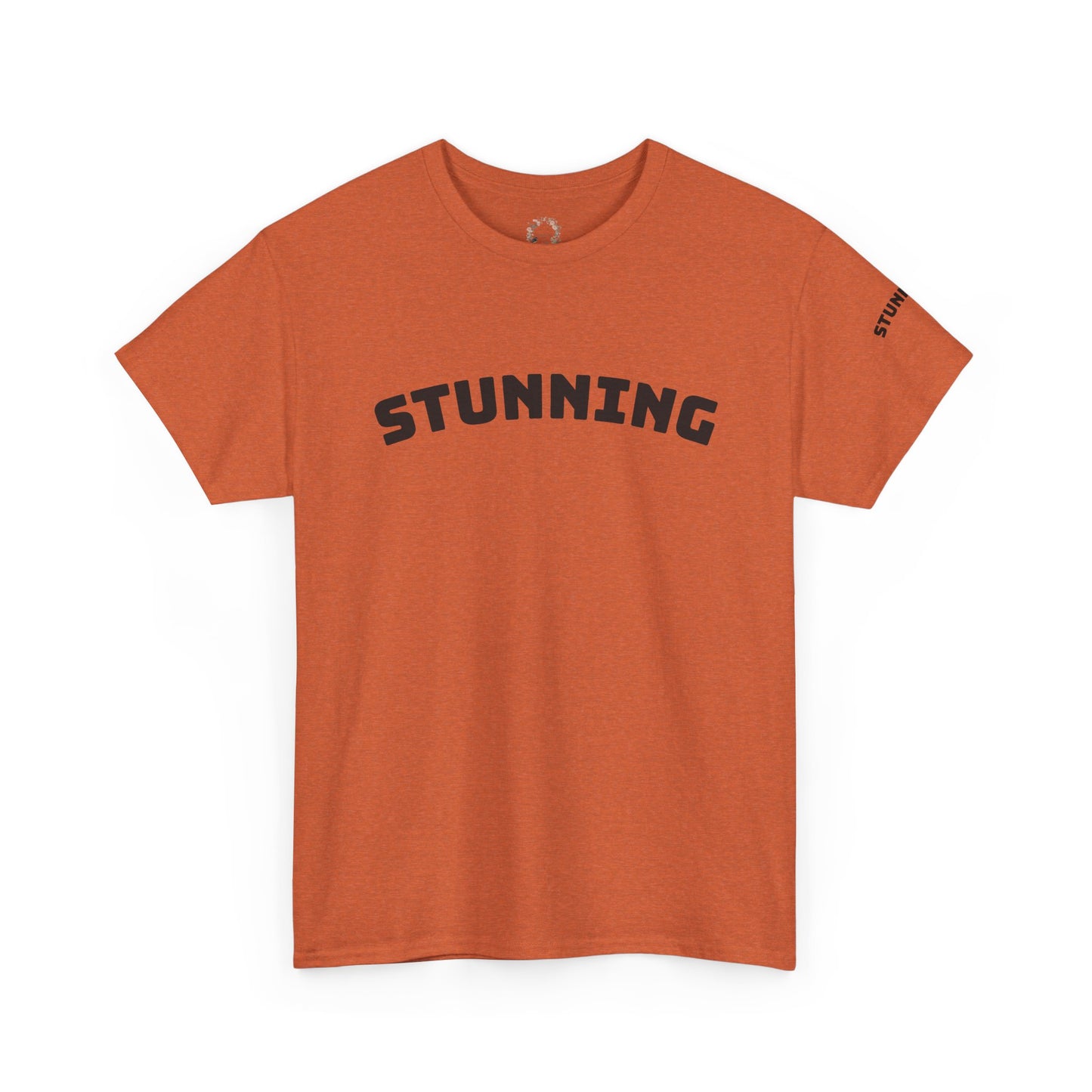 Stunning Adult Shirt