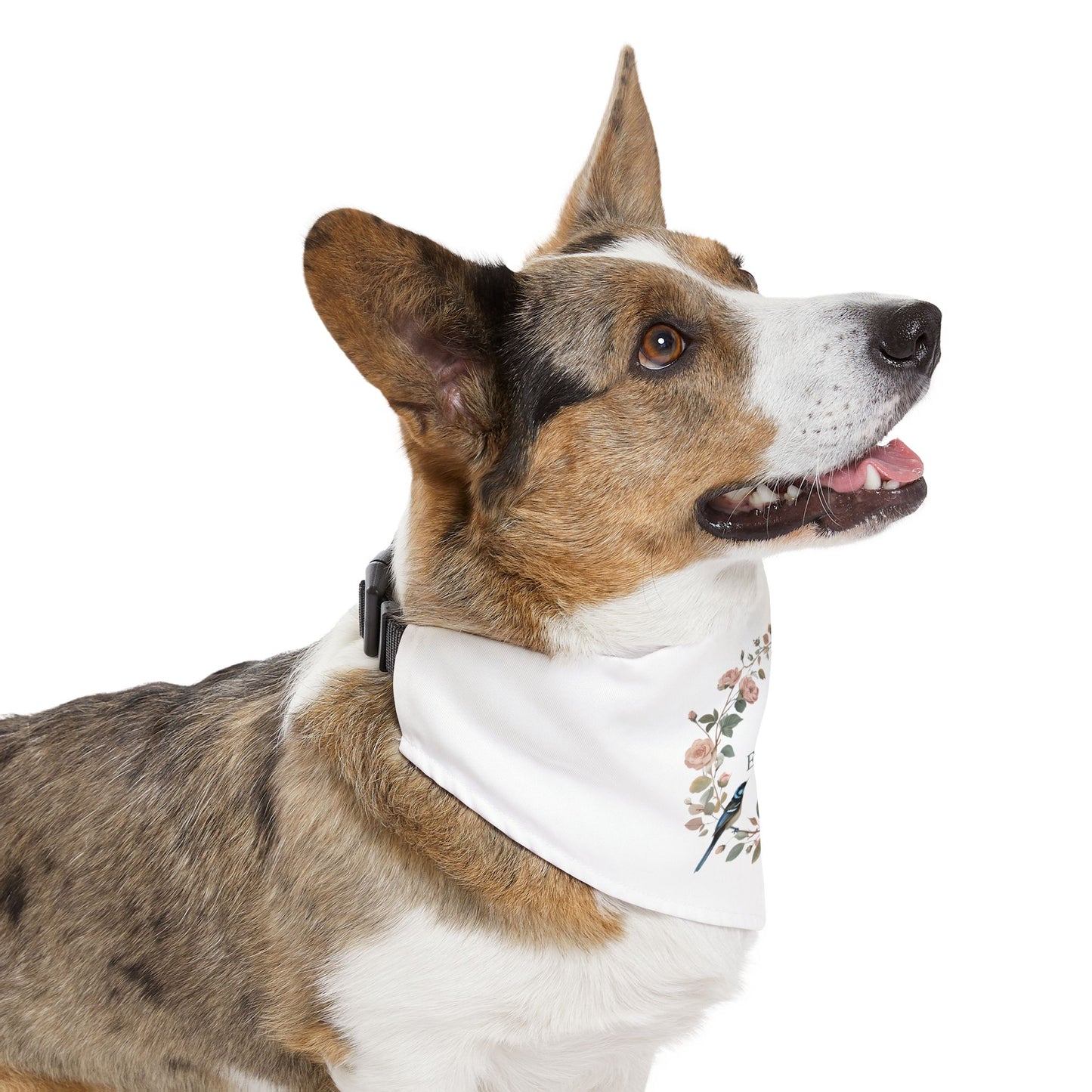 Echo Rose Collective Pet Bandana Collar