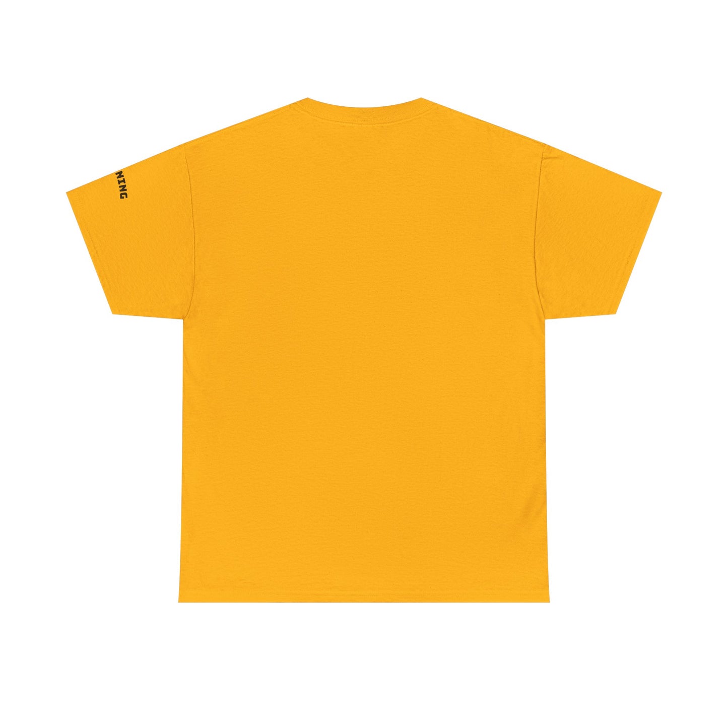 Stunning Adult Shirt