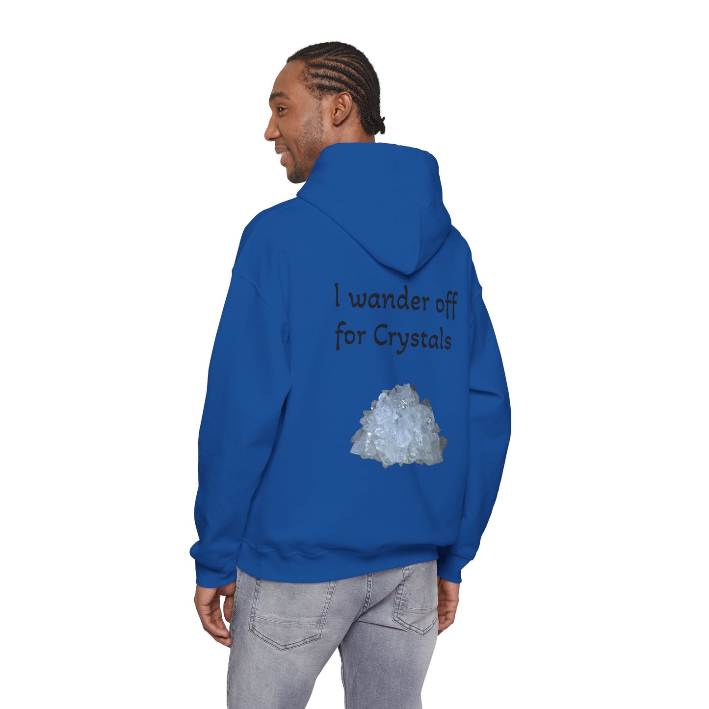 Savanna's  "Sparkle Alert: I wander off for Crystals" Adult Sweatshirt - Hooded