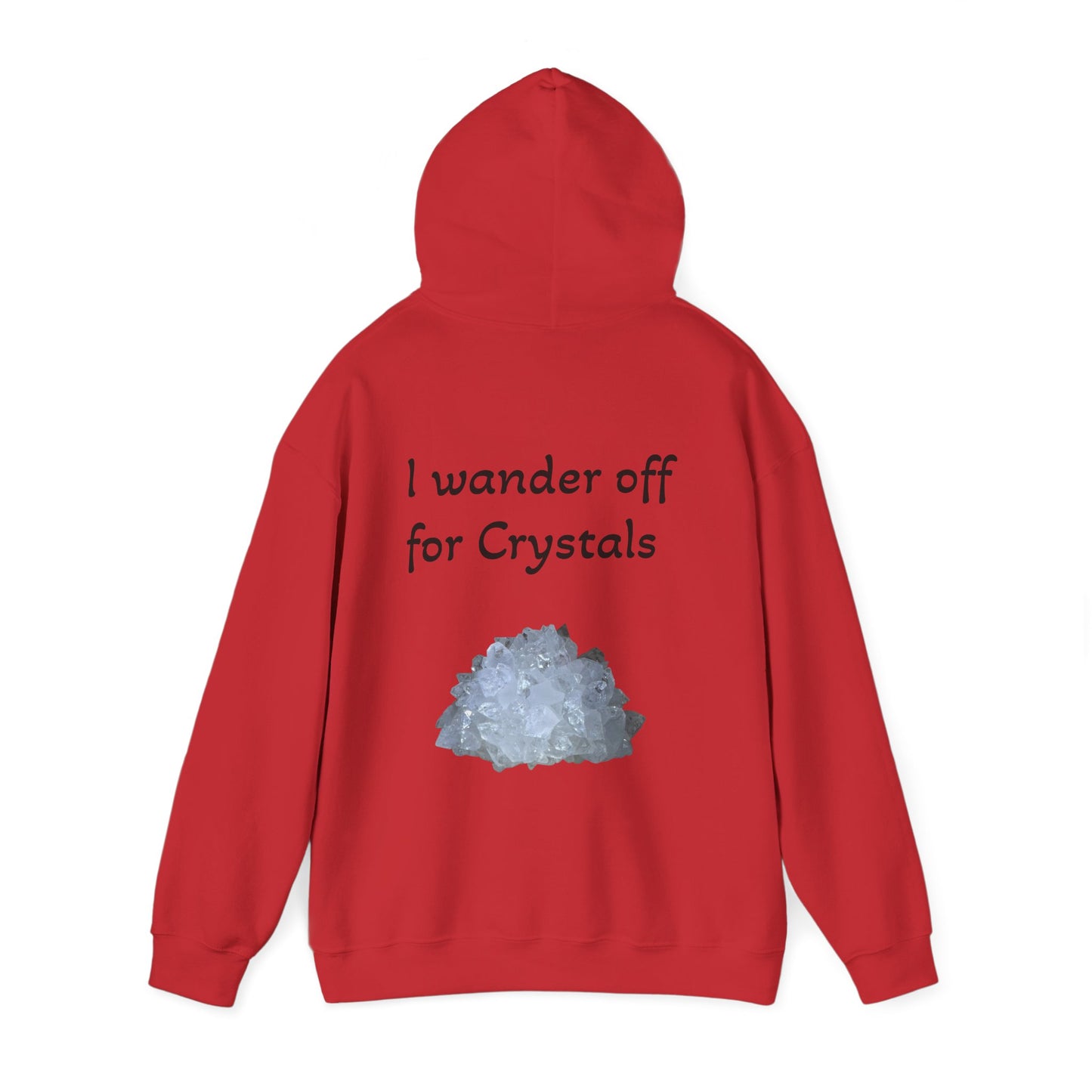 Savanna's  "Sparkle Alert: I wander off for Crystals" Adult Sweatshirt - Hooded
