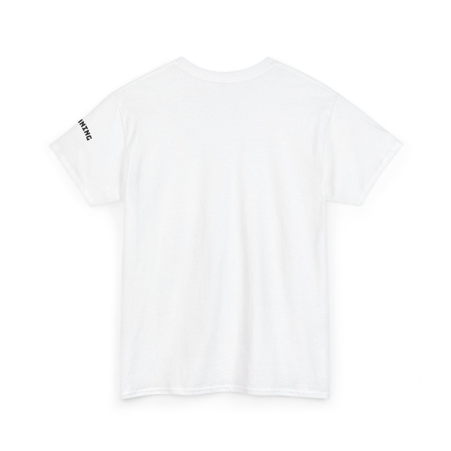 Stunning Adult Shirt