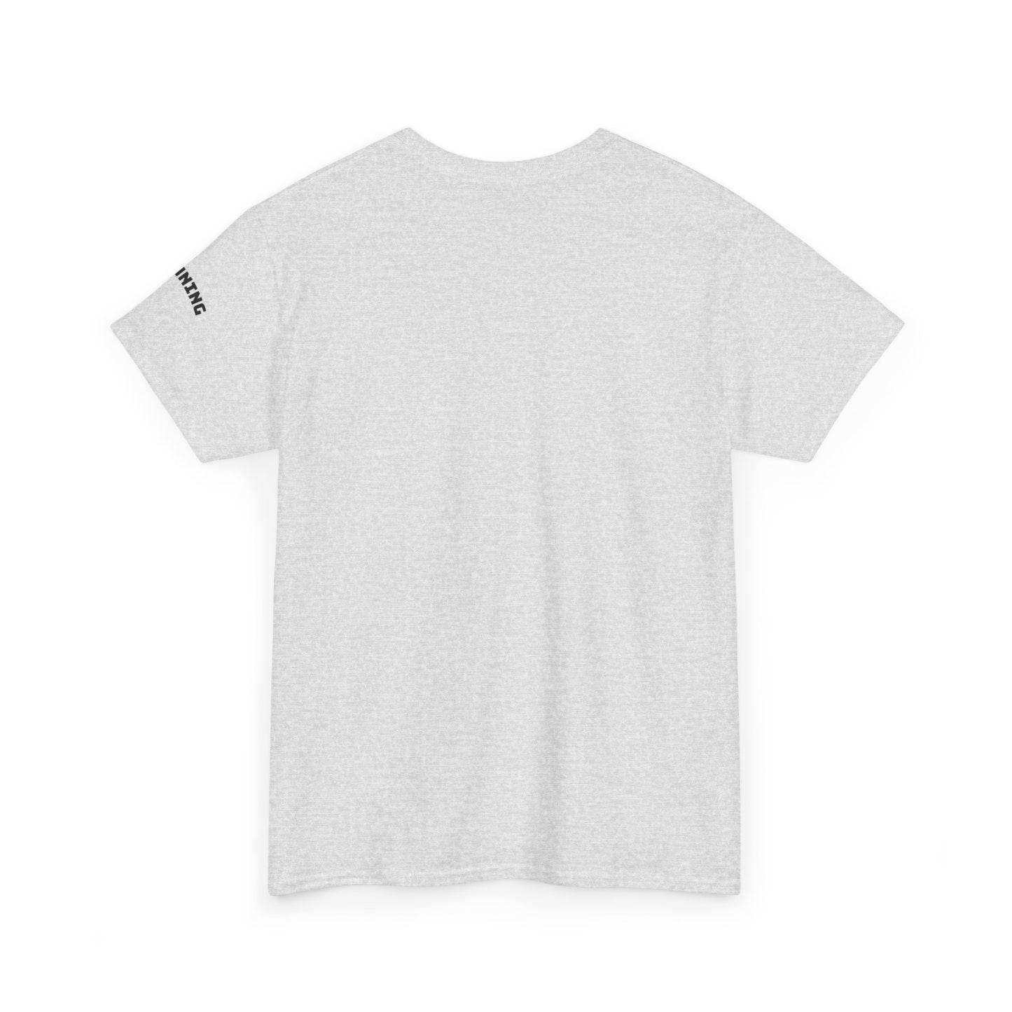 Stunning Adult Shirt