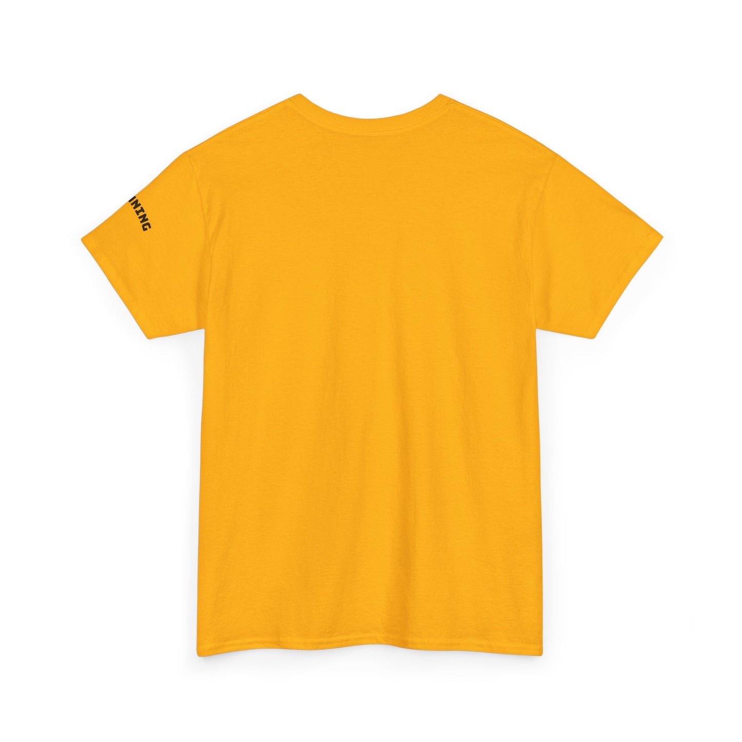 Stunning Adult Shirt