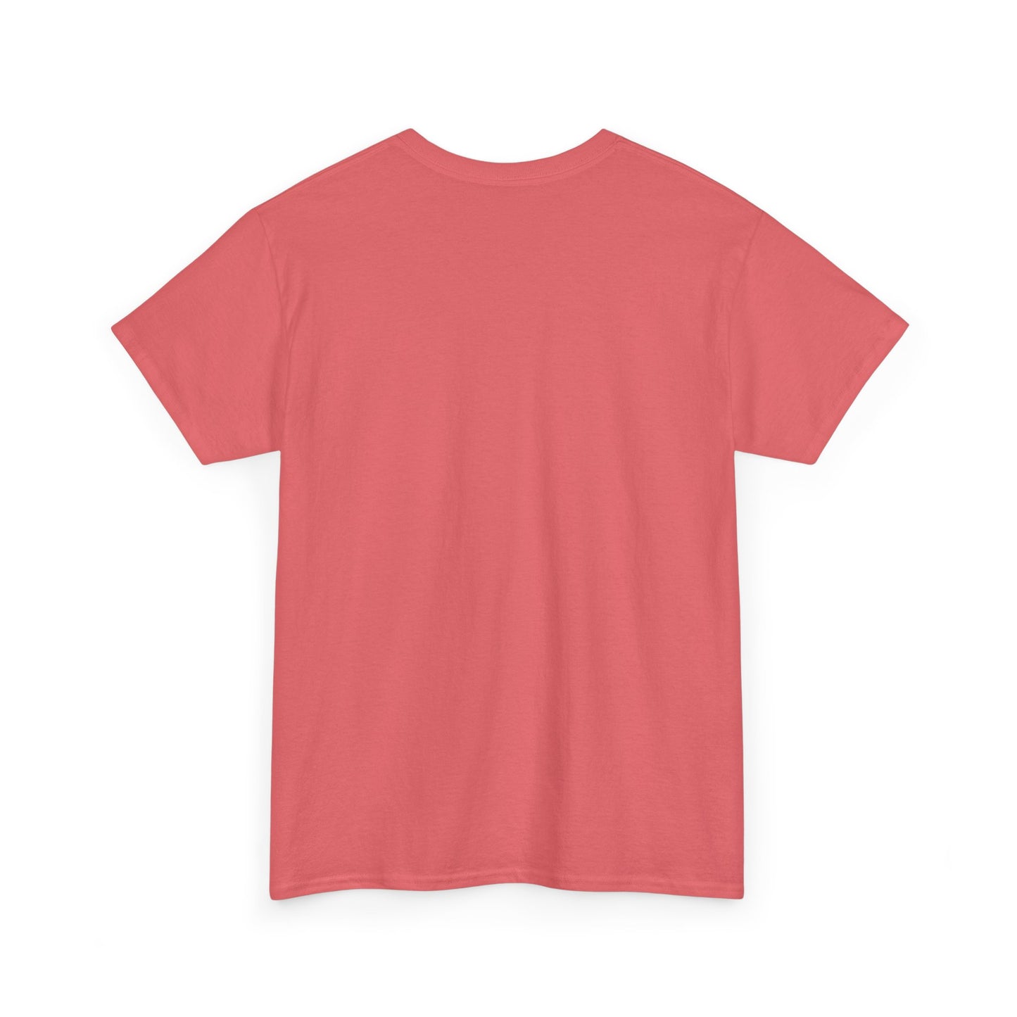 Be Kind Adult Shirt