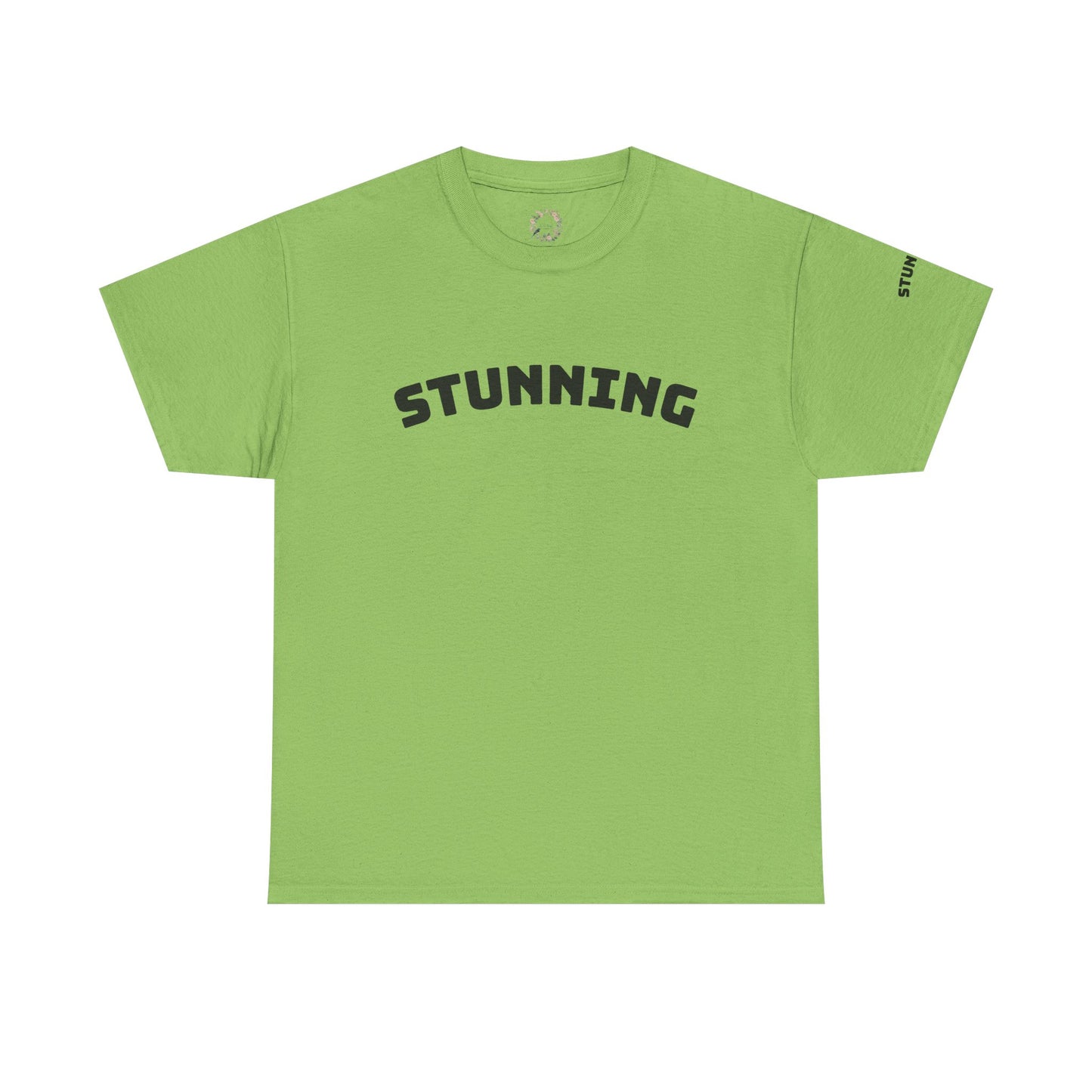 Stunning Adult Shirt