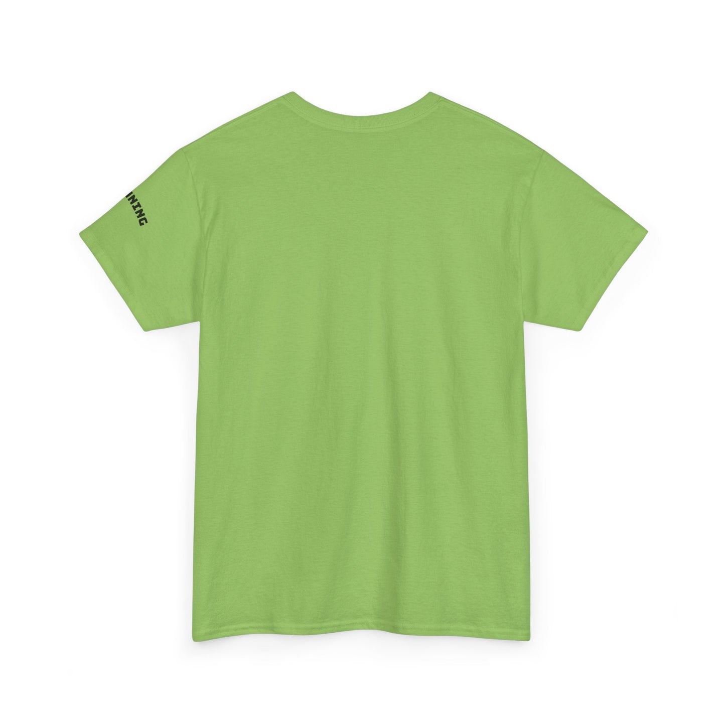 Stunning Adult Shirt