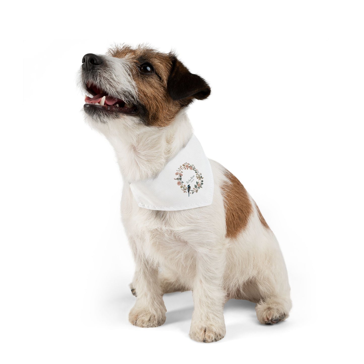 Echo Rose Collective Pet Bandana Collar