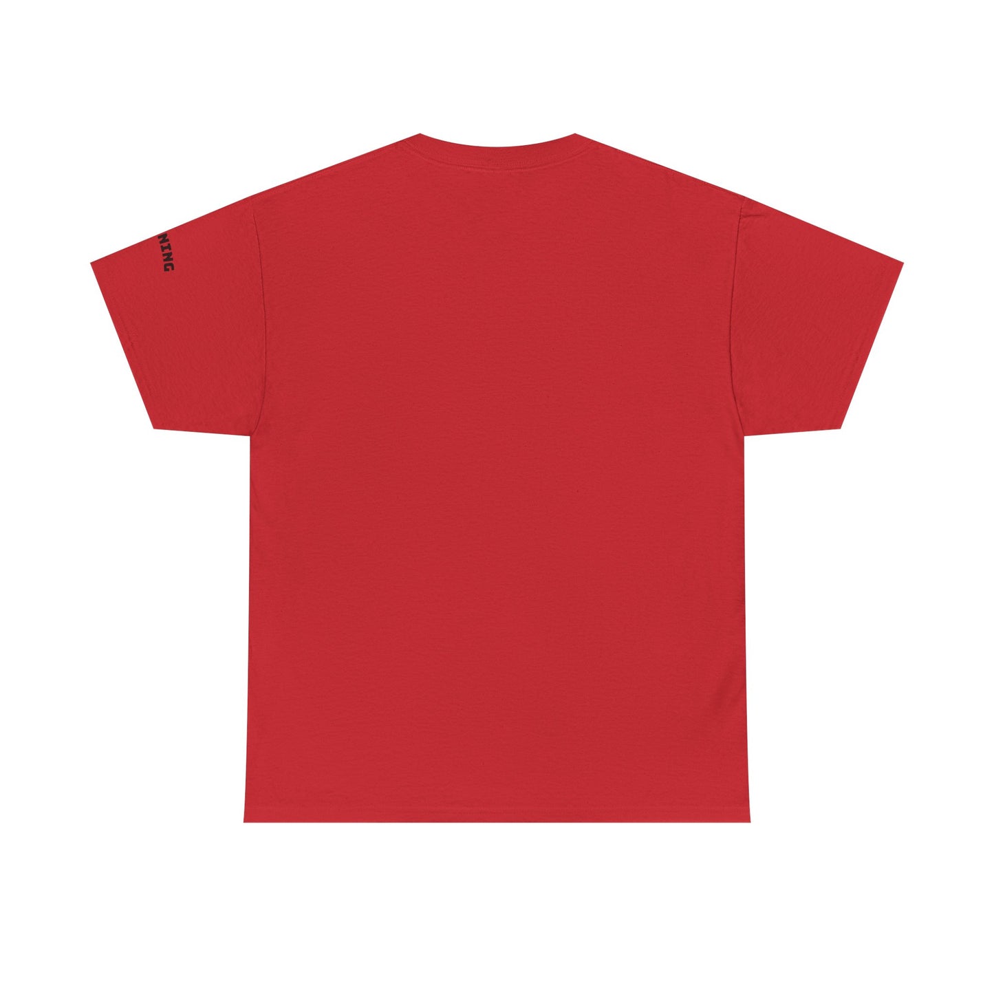 Stunning Adult Shirt