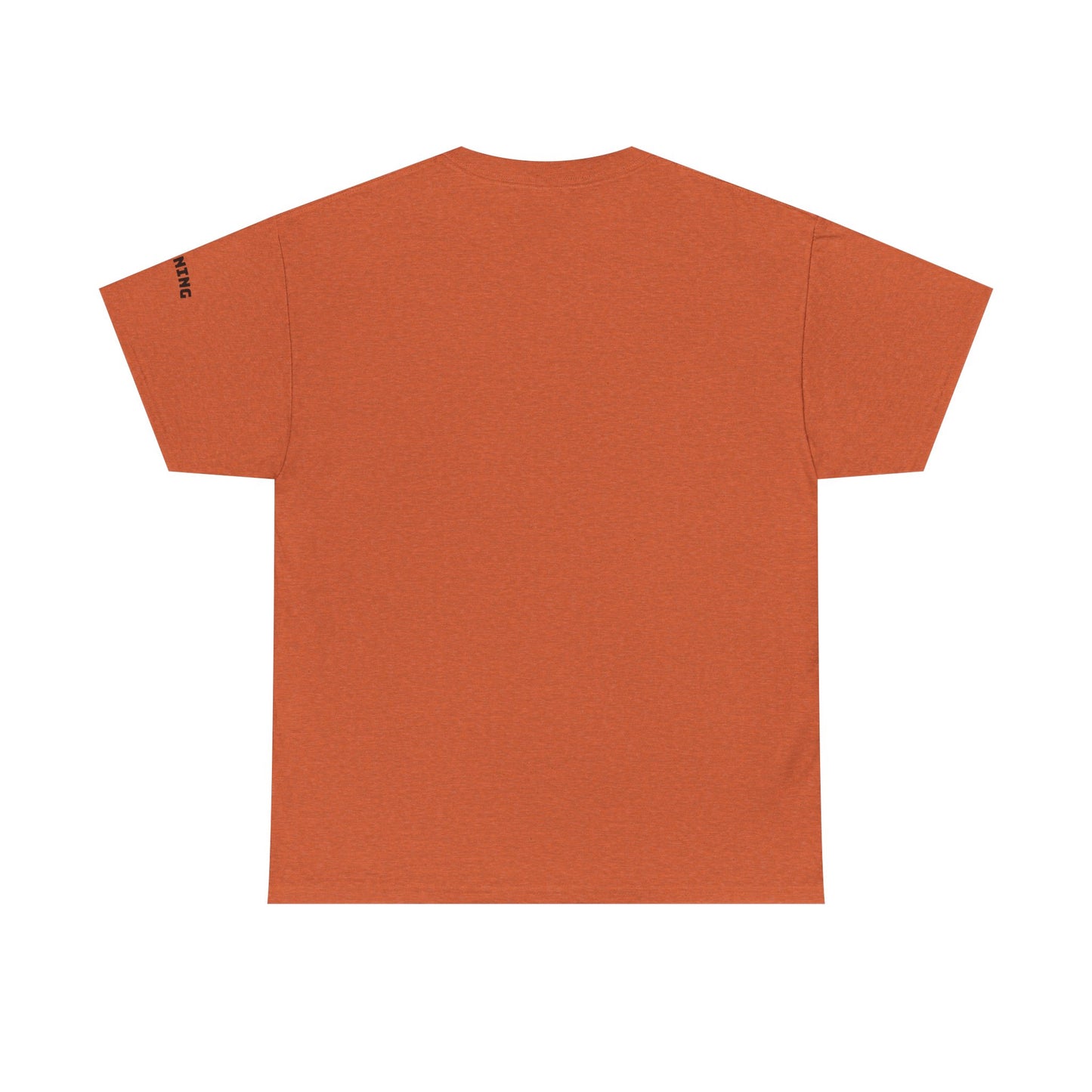 Stunning Adult Shirt