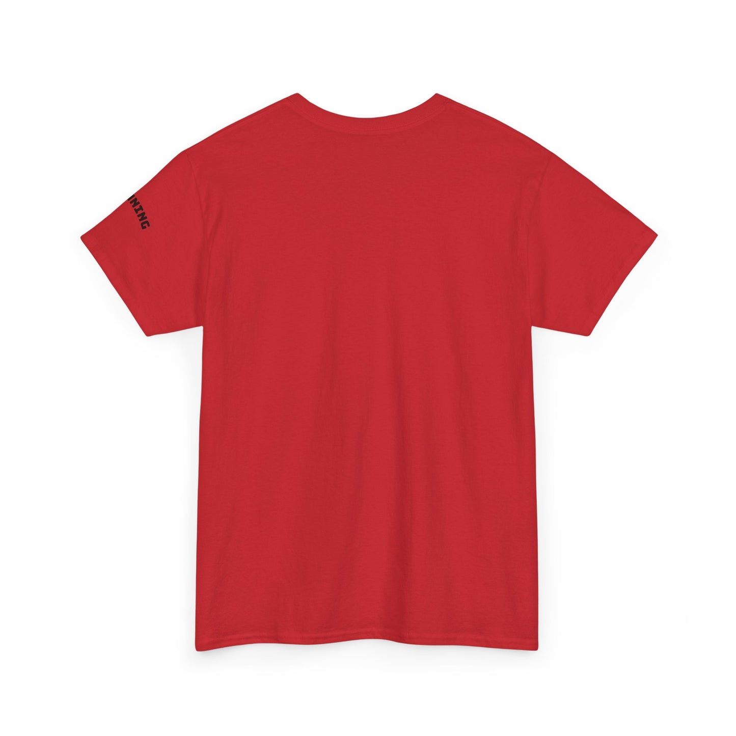 Stunning Adult Shirt