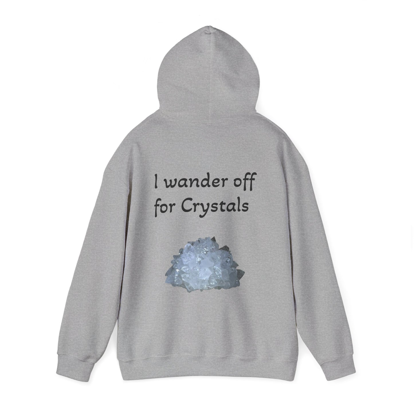 Savanna's  "Sparkle Alert: I wander off for Crystals" Adult Sweatshirt - Hooded