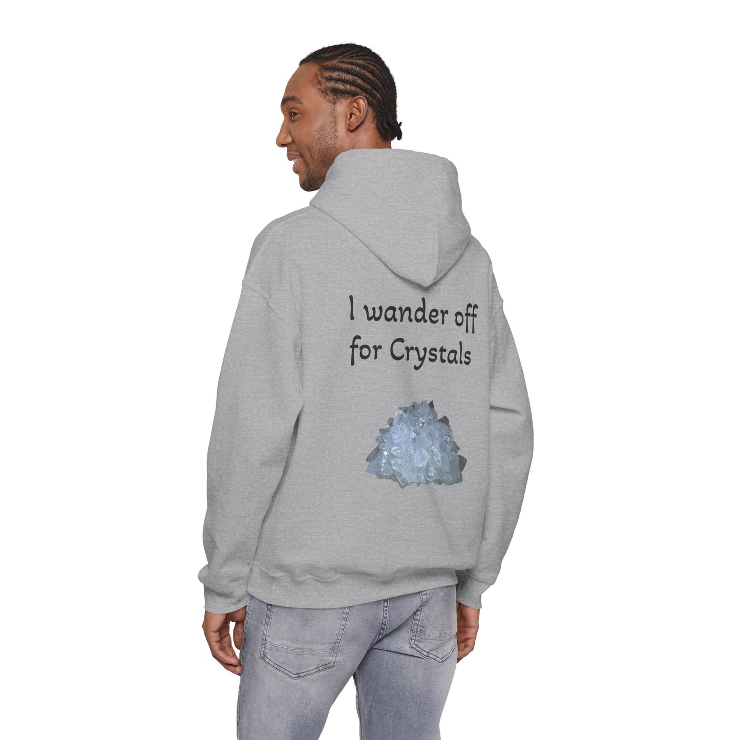 Savanna's  "Sparkle Alert: I wander off for Crystals" Adult Sweatshirt - Hooded