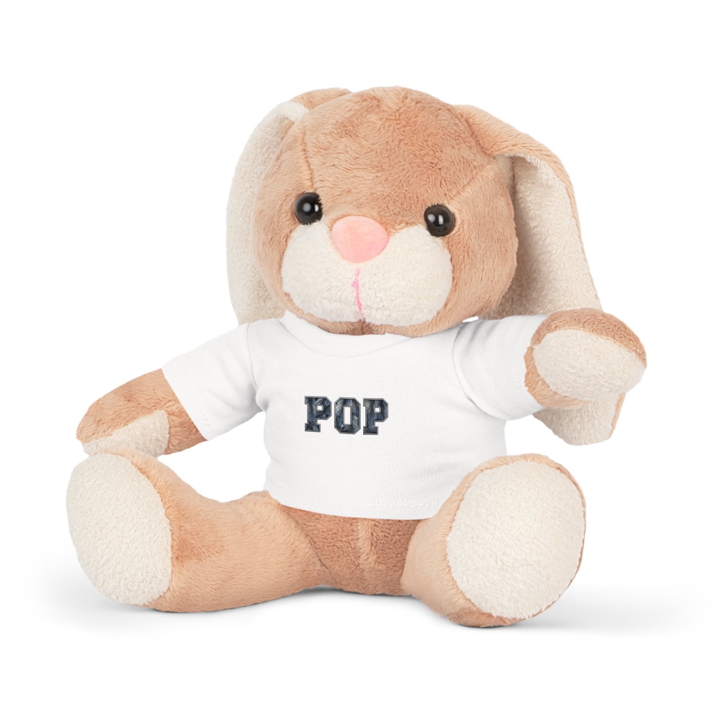 Pop Plush Teddy